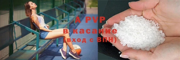 прущие грибы Балабаново