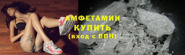 прущие грибы Балабаново