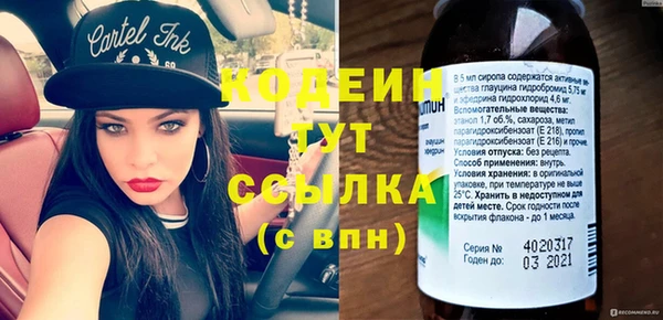 сатива Покачи
