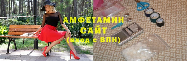 сатива Покачи