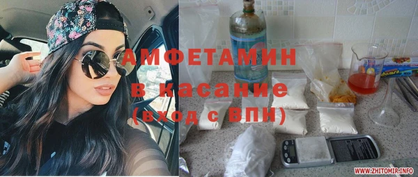 прущие грибы Балабаново