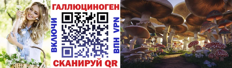 магазин    МЕГА онион  Псилоцибиновые грибы Psilocybe  Саяногорск 